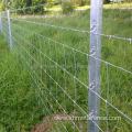 Galvanized Livestock Prevent Wire Farm Field Fence